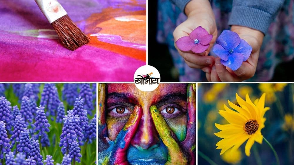 एकच रंग एका देशात राजेशाही, दुसऱ्यात पॉर्न, तिसरीकडे मत्सर दाखवतो? जाणून घ्या इतरही रंगांबद्दल!