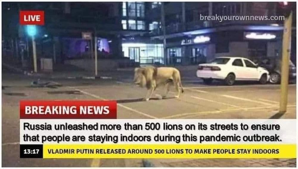 काय म्हणता, रशियाच्या रस्त्यावर सिंह फिरतायत? बातमी फॉरवर्ड करण्यापूर्वी हे वाचा !!