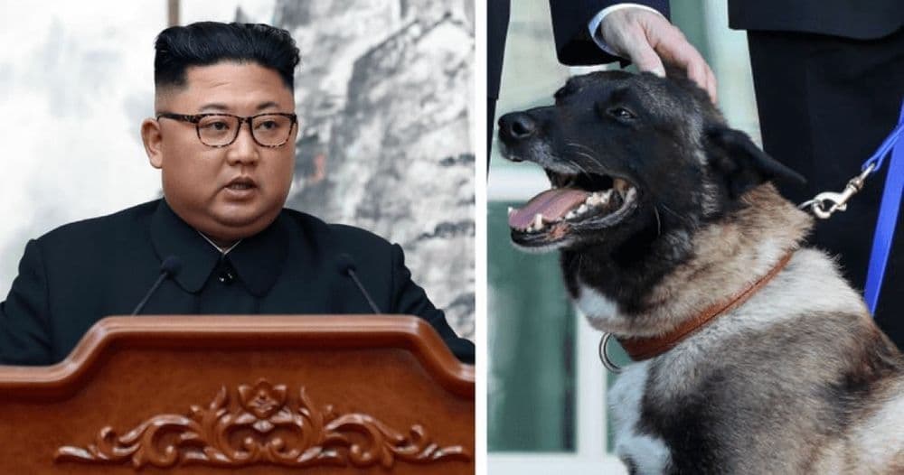 किम जोंग उनने कुत्र्यांना मारण्याचा आदेश का दिलाय ?