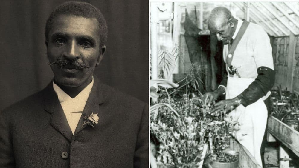 घोड्याच्या बदल्यात मुलाला सोडवून त्यांनी जगाच्या शेतीचा इतिहास कसा बदलला ?