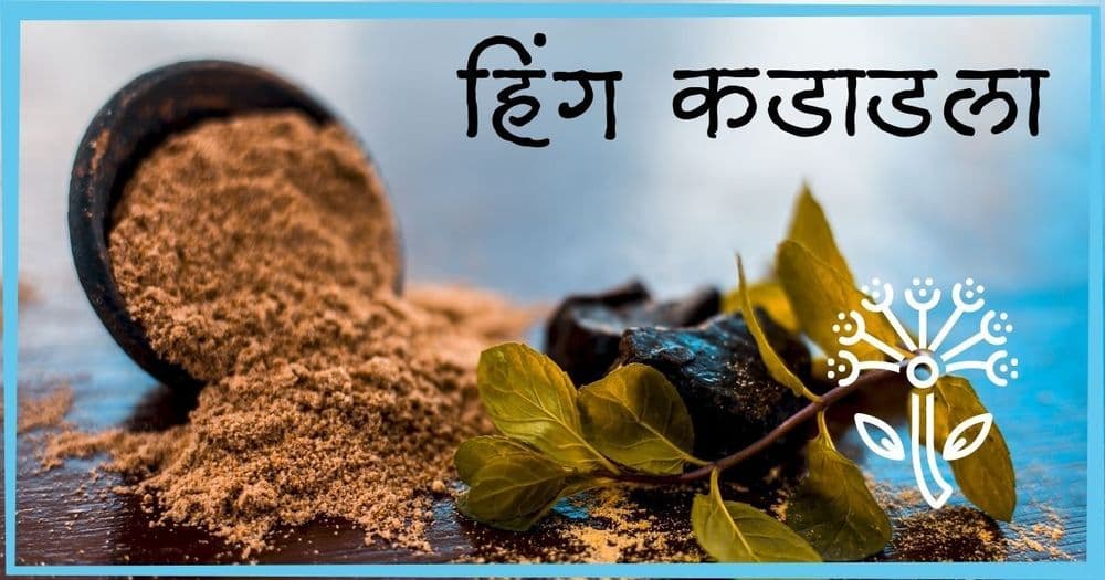 अफगाणिस्तानमुळे भारतीय स्वयंपाकघरात लवकरच युद्धजन्य परिस्थिती उद्भवणार आहे! पाहूयात याची कारणे काय आहेत.