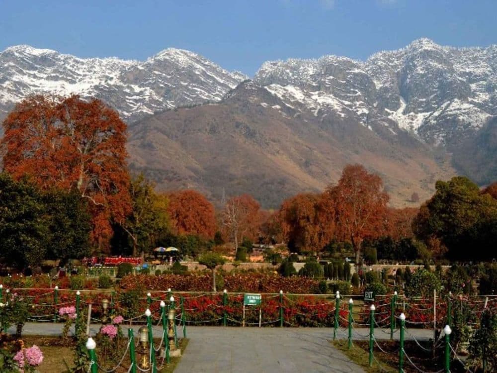 पृथ्वीवरच्या नंदनवनाची सफर करायची असेल तर लवकरच जाऊन या काश्मीरला ! पुढच्या महिन्यात हिमवर्षाव सुरू होईल !