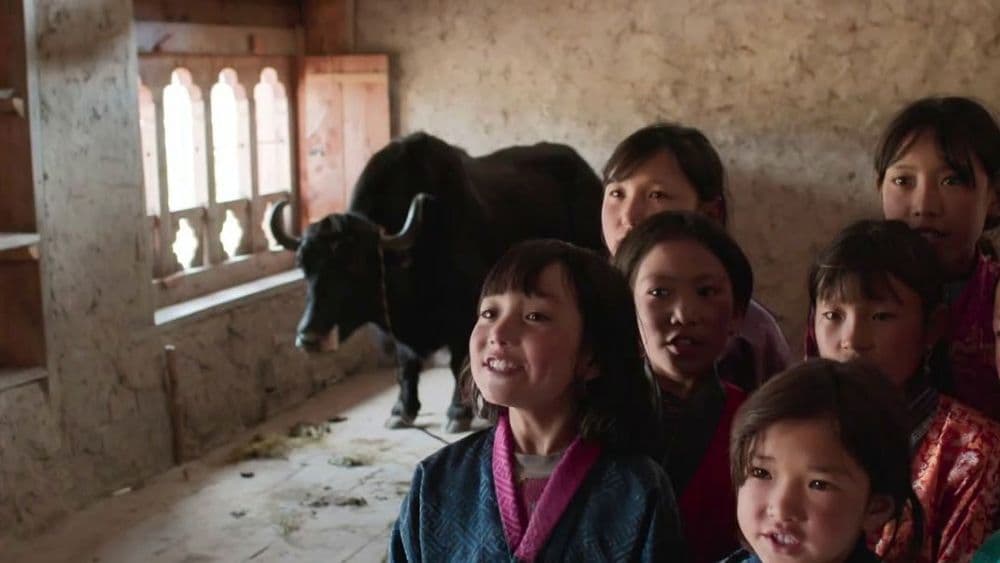 'लुनाना : अ याक इन द क्लासरूम' : भूतानच्या ऑस्कर नामांकित सिनेमाचं वेगळेपण तर जाणून घ्या!!