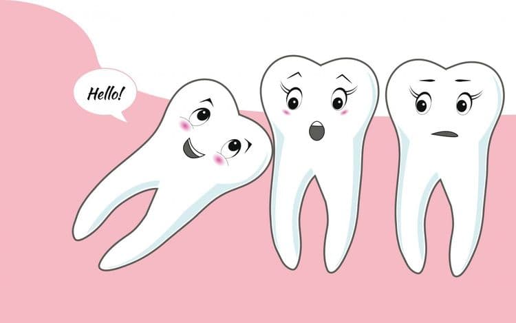 ४. अक्कलदाढ