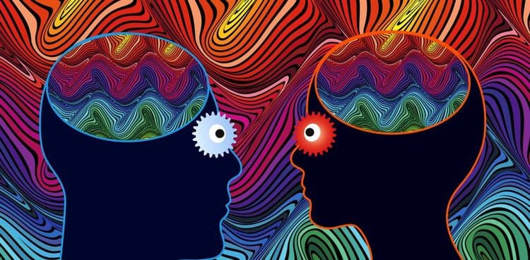 आता पाहूया हे एल एस डी शरीरात गेले तर नक्की काय होते…