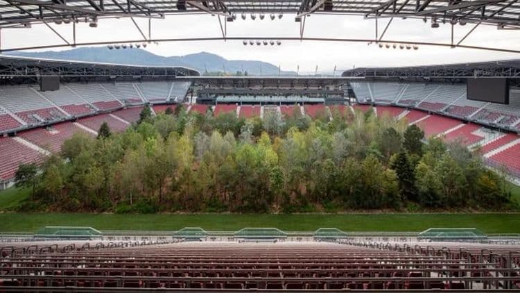 चक्क फुटबॉलच्या मैदानावर त्याने ३०० झाडे का लावली ? कारण विचार करायला भाग पाडेल !!