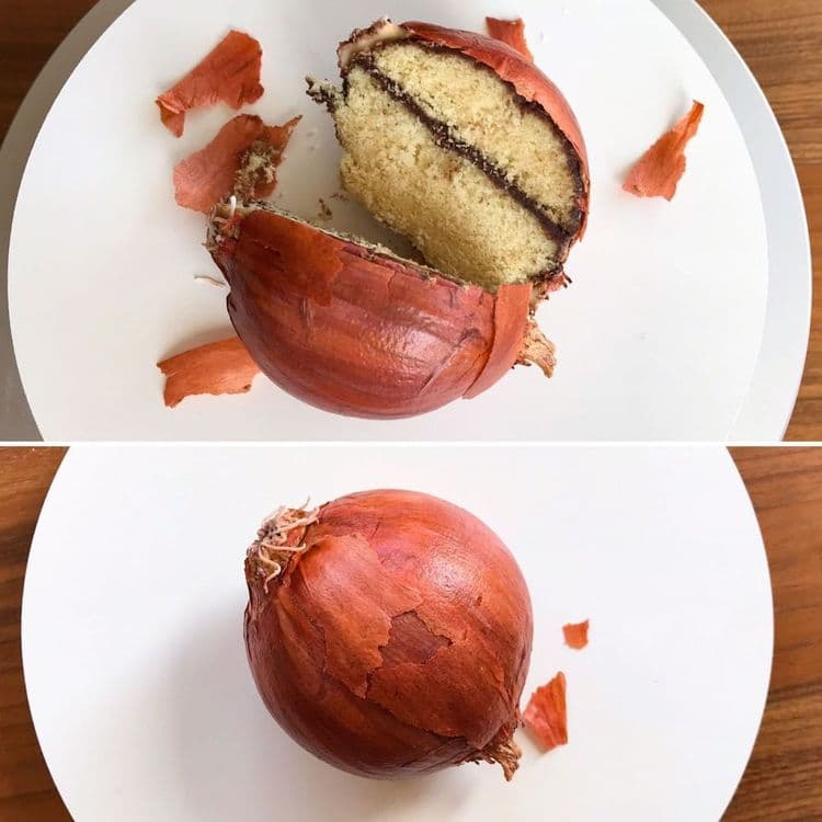 १७. आपल्याला कांदा फोडून खायची सवय आहे. हा केक आपल्याकडे चालेल का ?