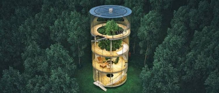 मधोमध झाड आणि काचेच्या भिंतीपासून तयार केलेलं हे ट्रि हाऊस प्रत्येकाच्या स्वप्नातील घर आहे !!