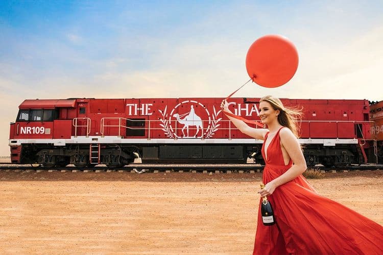 १४) द घॅन –