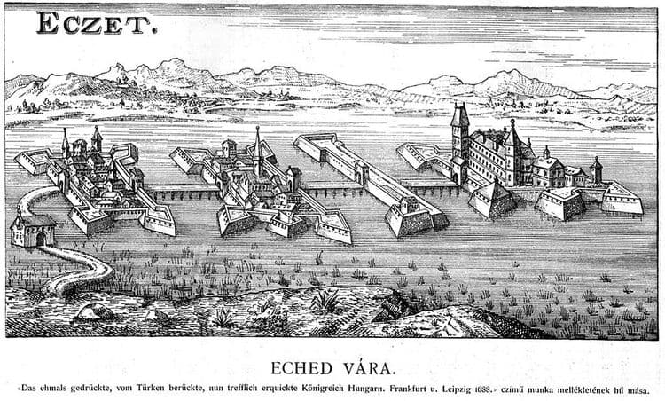 हे वाचून तुम्हाला नक्कीच प्रश्न पडला असेल की तिने हे का केलं?