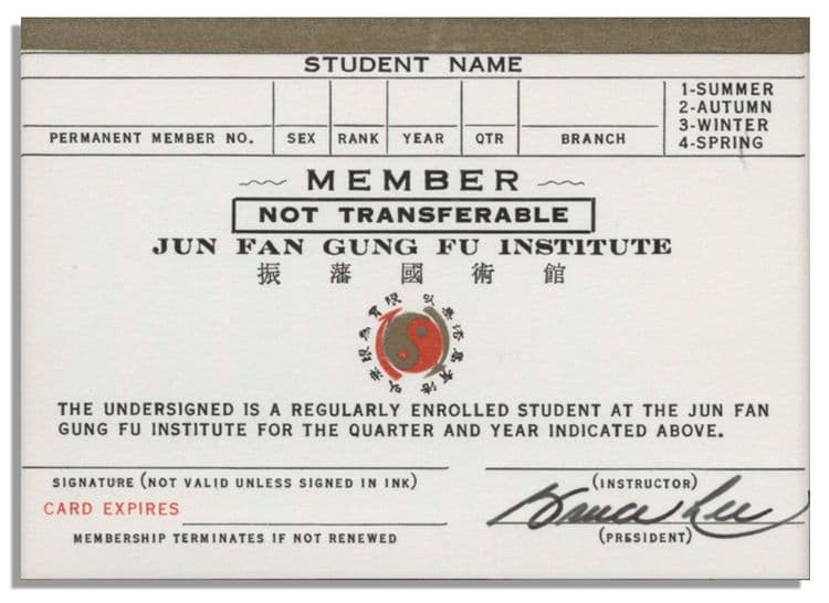 १३. विसाव्या वर्षी स्वतःचे कुंग फु इन्स्टिट्यूट