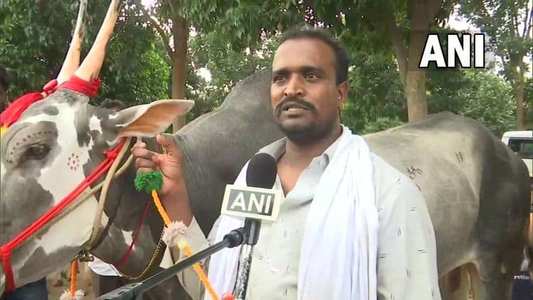 बैलाची किंमत एक कोटी ? बंगळुरूच्या कृषी मेळाव्यात'कृष्णा' नावाच्या बैलाला विक्रमी किंमत !