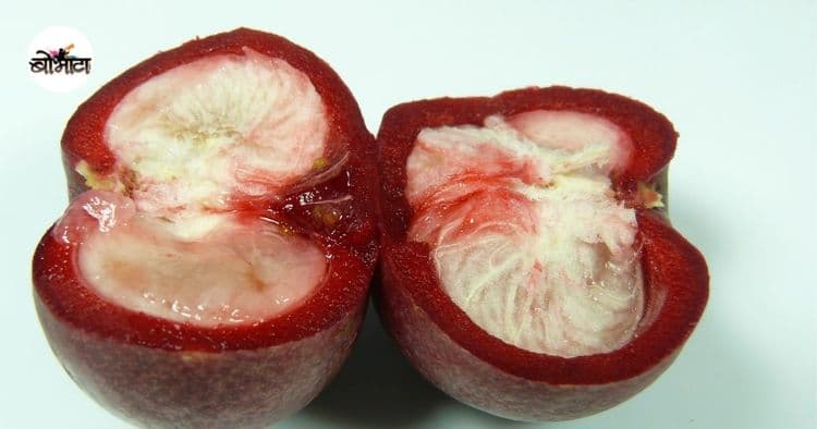 १. ॲसिडीटी कमी करून पचन सुधारते