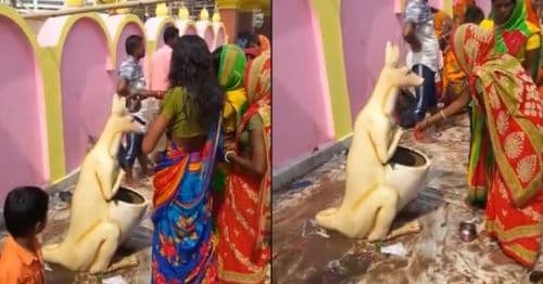 बिहार मधील या बायका कांगारूची पूजा का करतायत ?