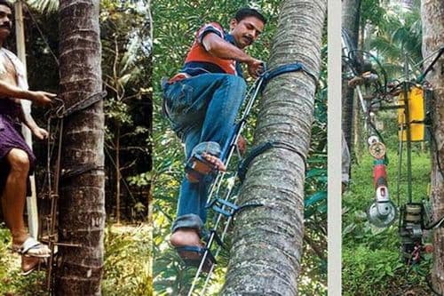 १०. झाडावर चढण्याचं उपकरण