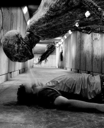 ४. आत्मा शोषणाऱ्या पिशाच्चाची कल्पना कुठून आली ?