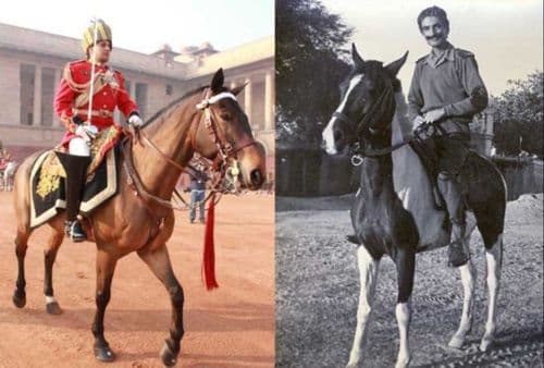 १०. भारतीय सैन्याकडे २०० पेक्षा जास्त वर्ष जुनं घोडदळ आहे.