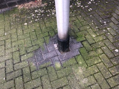 ५. खांबाच्या आजूबाजूच्या भागात हिरवळ नसण्याचं कारण म्हणजे एक कुत्रा तिथे रोज मुत्रविसर्जन करायचा.