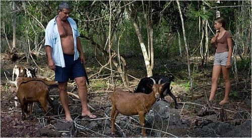 गालापागोस बेटावर बकरी आणि माणसांमध्ये २ वर्षे युद्ध का चाललं? या युद्धात कोण जिंकलं??