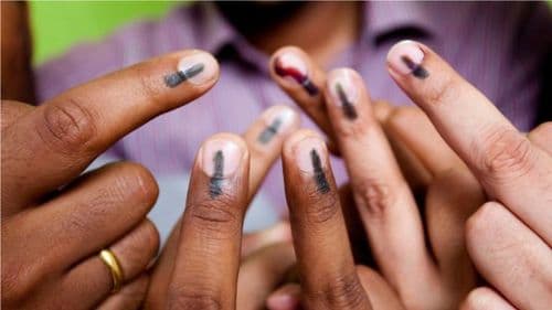 अच्छे दाग वाली ही शाई येते तरी कूठून : या घेऊया शाईचा मागोवा