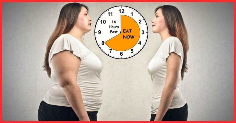 1) 16/8 पद्धत