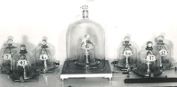 १ किलो वजनाचा पूर्वज - ‘Le Grand K’