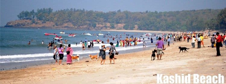 ३. काशीद