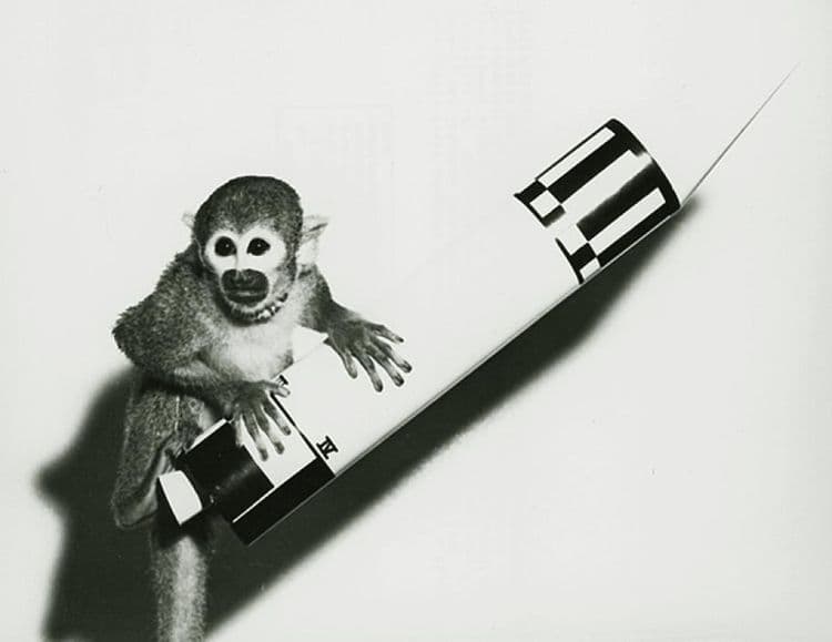 ३ आणि ४. एबल आणि मिस बेकर