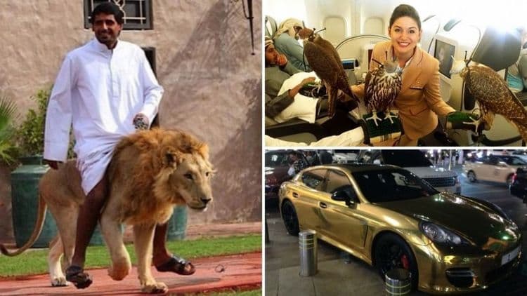 ७. दुबईच्या शेखांच्या श्रीमंतीचे काही नमुने- नमुने असे तर आख्खा देश कसा असेल??