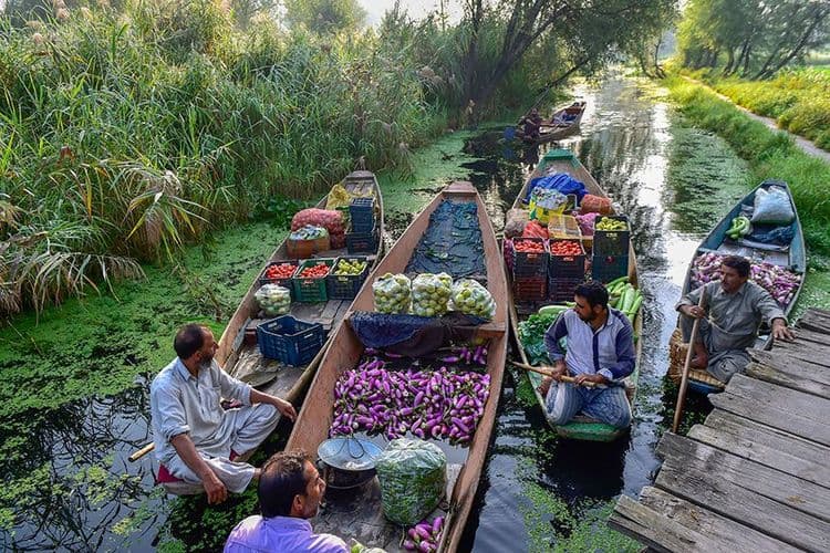भाजीपाला विक्रेते