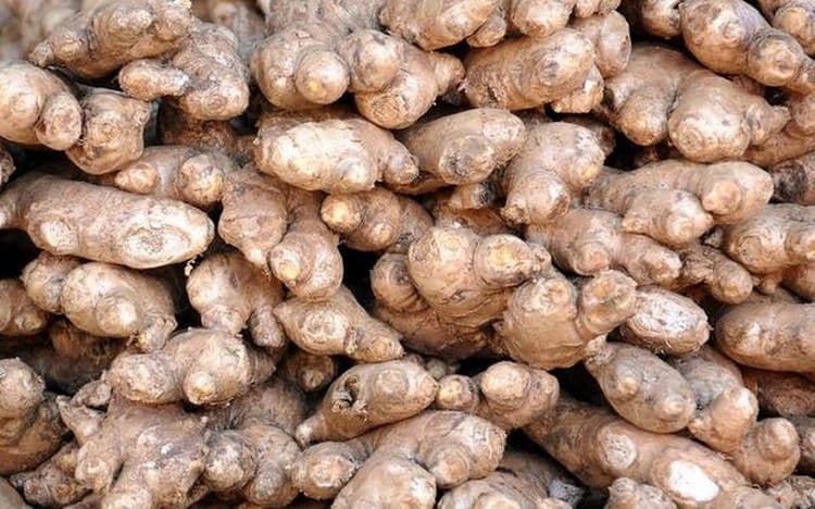 नाममहिमा -