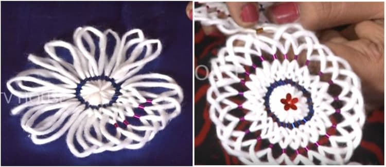 फूल -प्रकार २