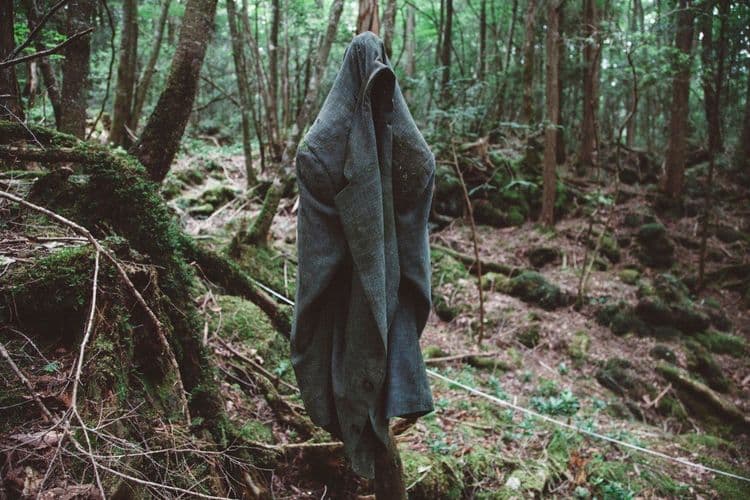 ३. औकीगहारा (Aokigahara):