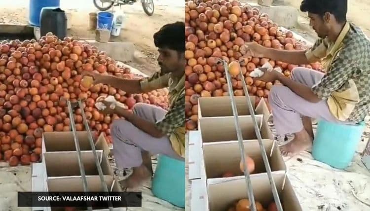 ८. आकारानुसार फळांची विभागणी करण्यासाठी या फळवाल्या भाऊने अगदी सोपी पण प्रभावी शक्कल लढवली आहे.