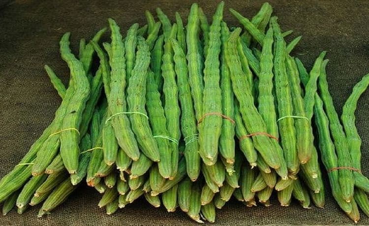 २. शेवगा