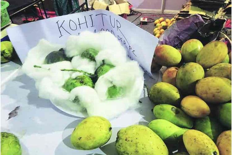 कोहितूर : नवाबासाठी बनवलेला आंबा.