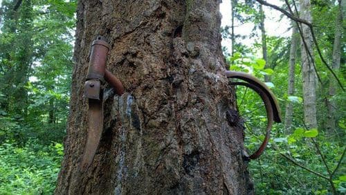 लोकांनी सायकलीचे तुकडे तोडून नेलेयत..