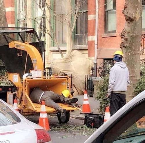 ८. याला कोणीतरी सांगितलेलं सिंहाचे दात मोजता येतात !! पण आधी त्याने एक प्रयोग करून बघितला.