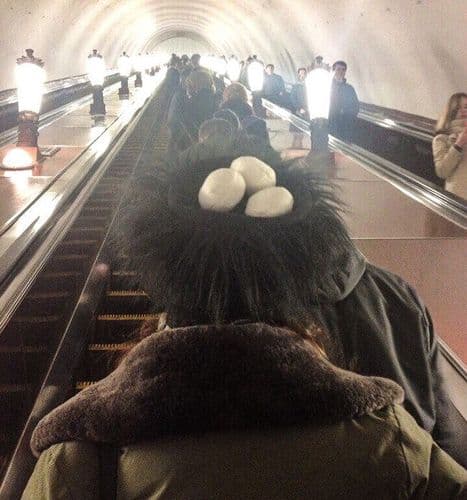 पक्षिमित्र