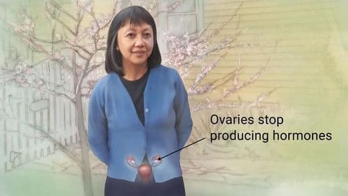 रजोनिवृत्ती -