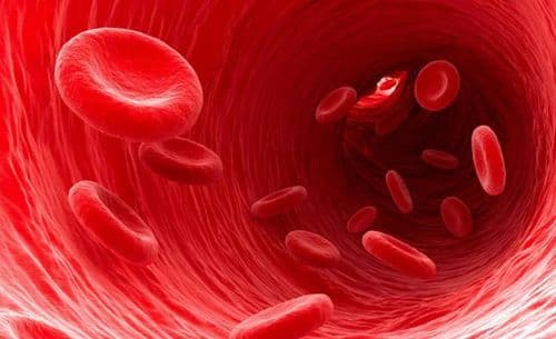 आधी पाहू की मासिक पाळी येते म्हणजे नक्की होते काय?