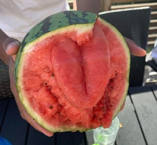 ४. कलिंगडाला जीभ आहे.