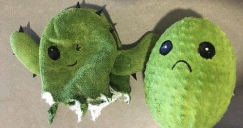 १०. माणसांचे दोन चेहरे