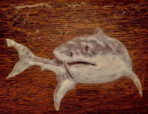 ७. मीठापासून तयार केलेला शार्क