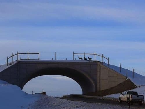 १४. कोलोरॅडो