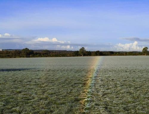 ८. तुम्ही जे बघत आहात ते कोळ्याचं जाळं आहे. त्या जाळ्या अशा पद्धतीने पसरल्या आहेत की त्यावरून परावर्तीत होणारा प्रकाश इंद्रधनुष्याचा भास निर्माण करतोय.