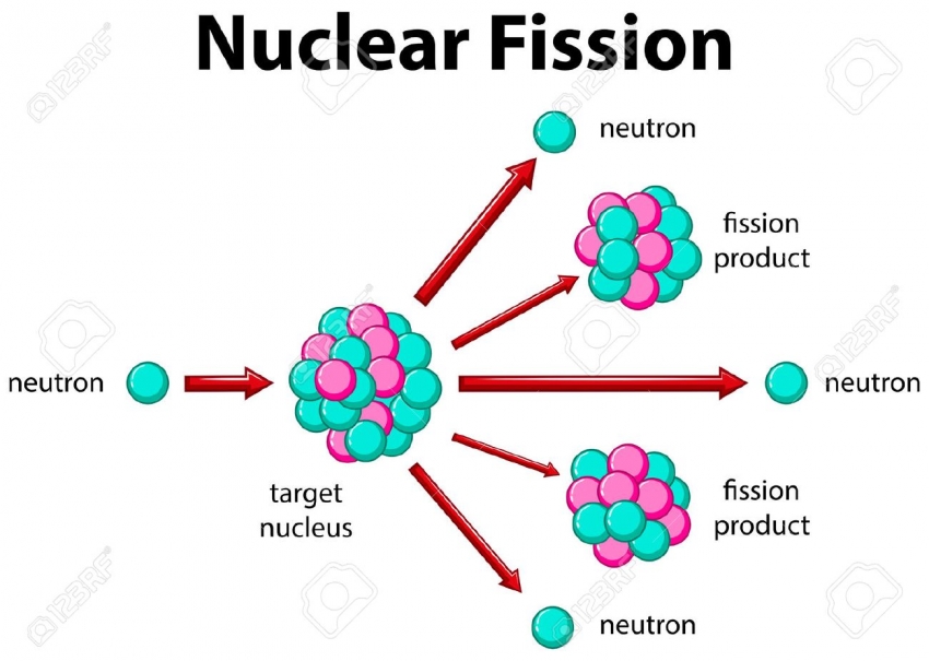 fission meaning in tamil